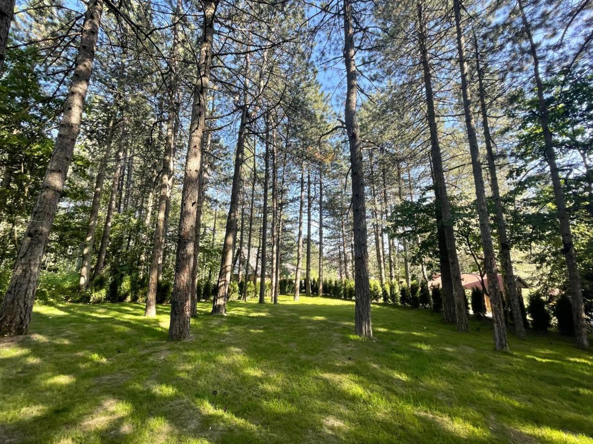 Apartments Micic Zlatibor Extérieur photo